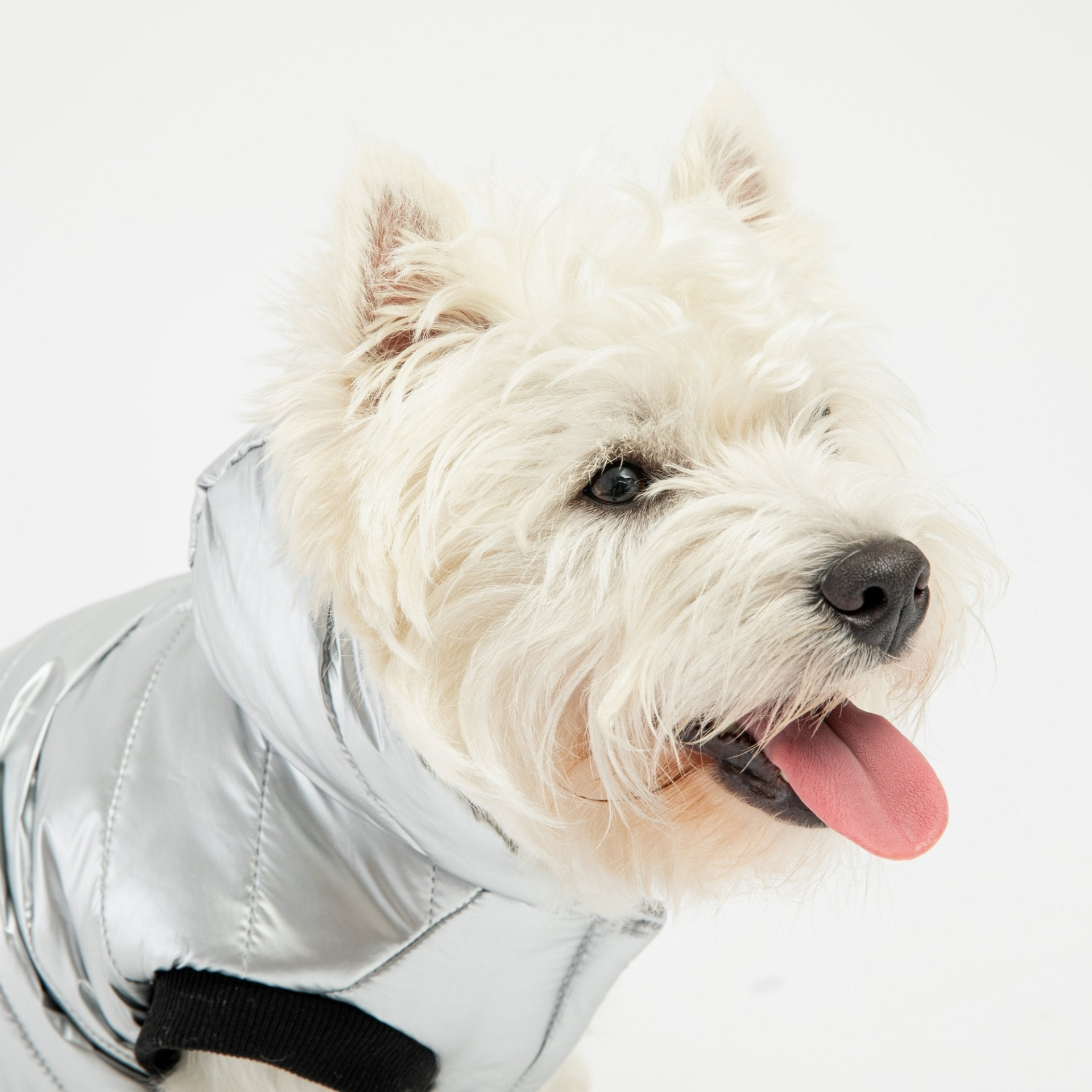 Emma Dog Jacket - Silver