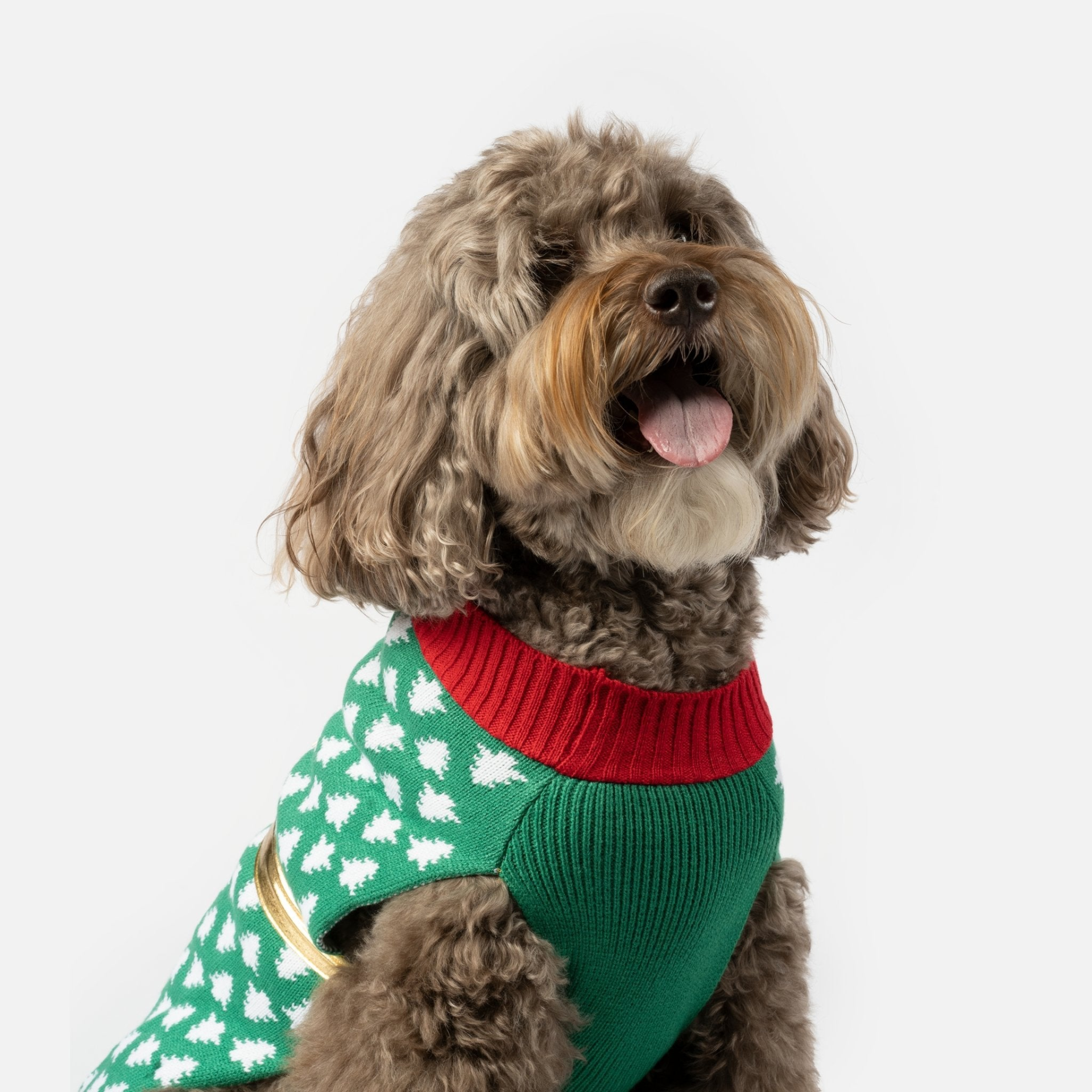 Gift Dog Sweater