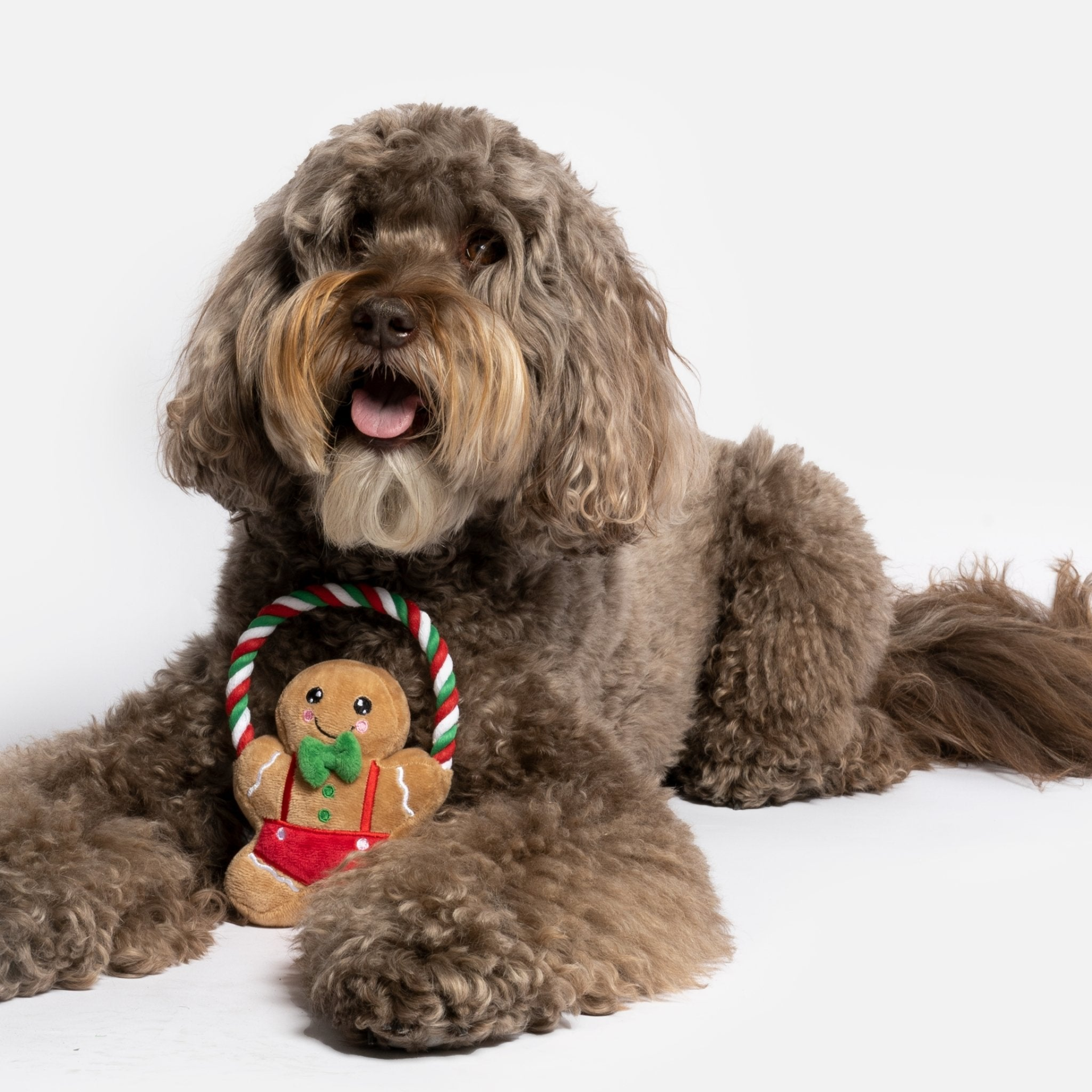 Ginger Bread Man Dog Toy