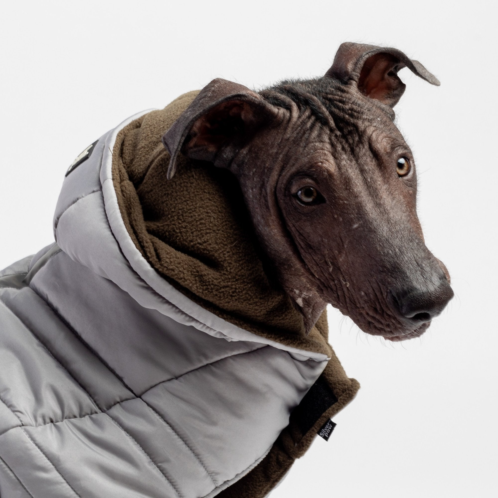 Jackson Dog Jacket - Grey