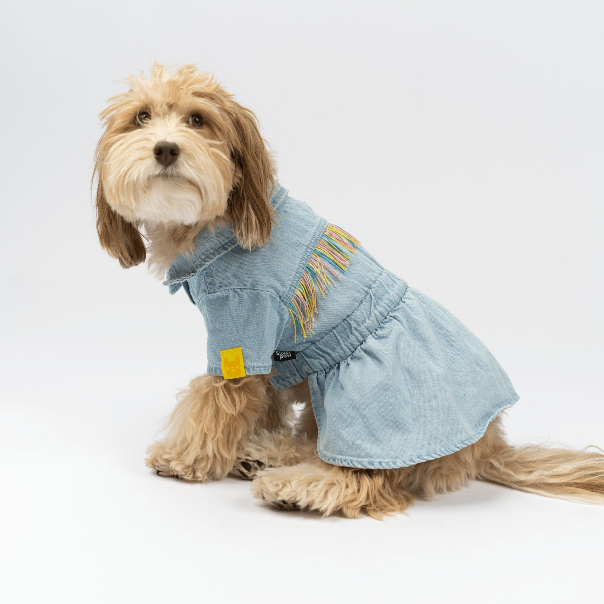 Ocean Denim Dog Dress