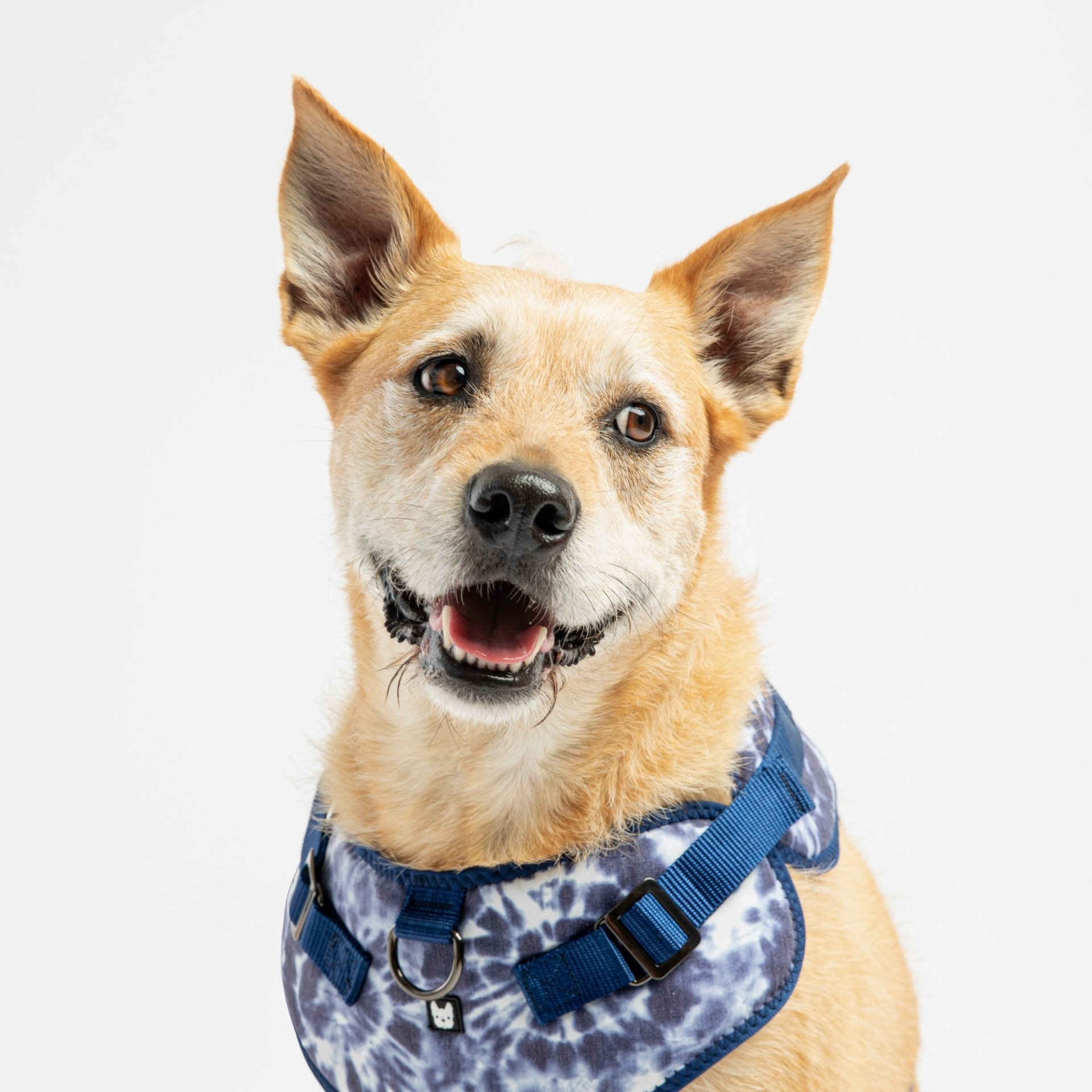 Poplin Dog Harness - Blue Tie Dye