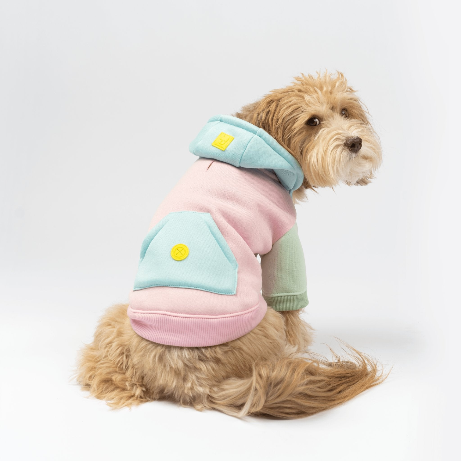 Venice Dog Hoodie - Pink