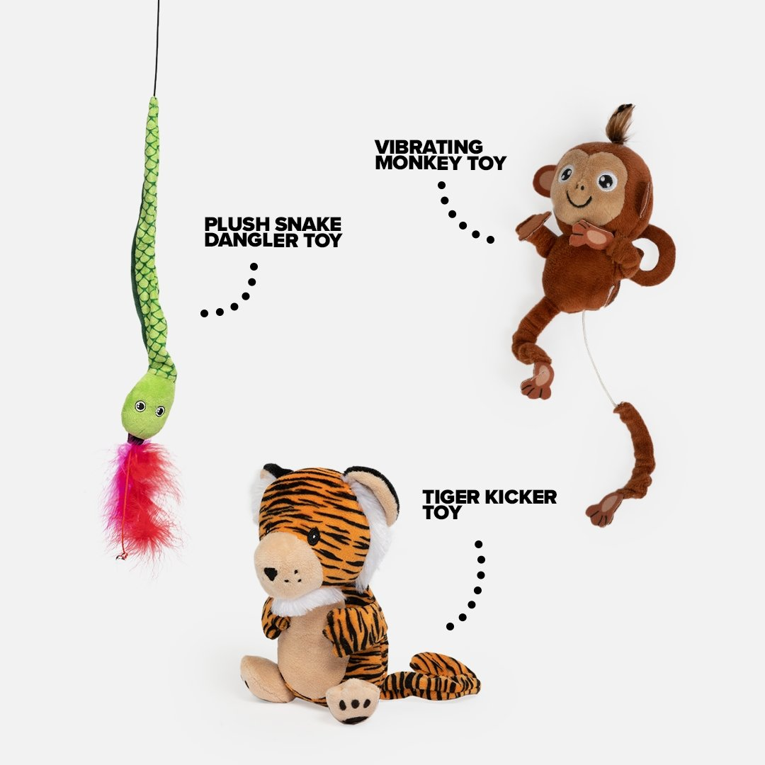 Rainforest Cat Toy Bundle